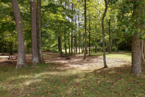 Am 10. und 11. Oktober feiert Iserlohn Naturerlebnis beim Waldstadtfest