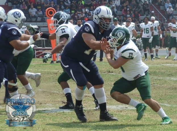 Mannergruppe spielt Fußball auf einem Rasenfeld in einem Stadion mit Zuschauern im Hintergrund.