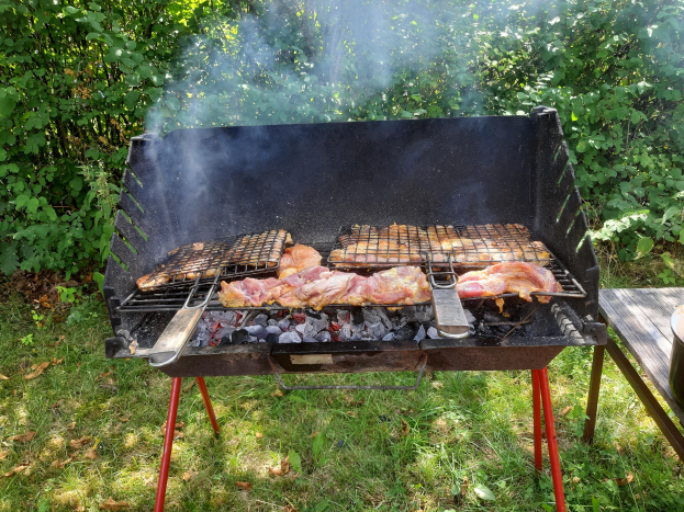Grill mit Fleisch darauf auf dem Rasen, umgeben von Bäumen, mit einem Tisch auf der rechten Seite, der eine Schüssel und andere Gegenstände enthält.