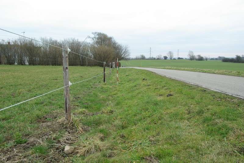 Ein grasbewachsenes Feld mit einem Zaun, Bäumen, Pfählen, einer Straße und einem klaren blauen Himmel, gelegen in St Marys Road, St Mary's, St Margaret's, Swindon, Wiltshire.