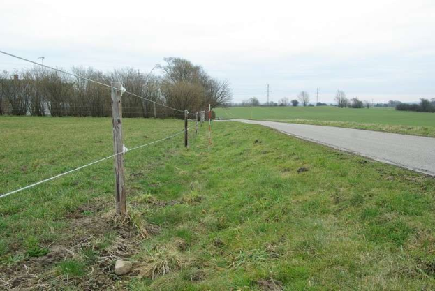Ein grasbewachsenes Feld mit einem Zaun, Bäumen, Pfählen, einer Straße und einem klaren blauen Himmel, gelegen in St Marys Road, St Mary's, St Margaret's, Swindon, Wiltshire.