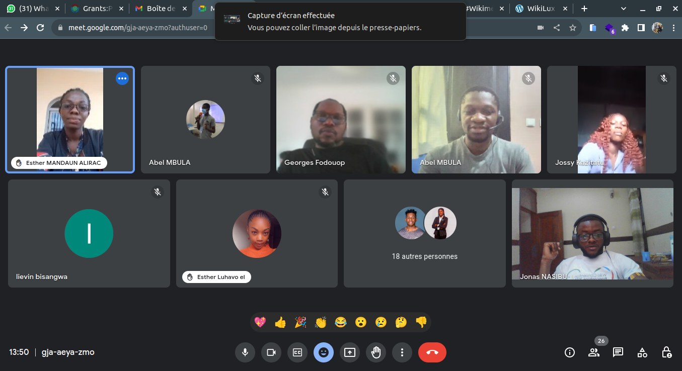 Gruppe von Menschen in einer lebhaften Diskussion während eines aufgezeichneten Videoanrufs auf einem Computermonitor.