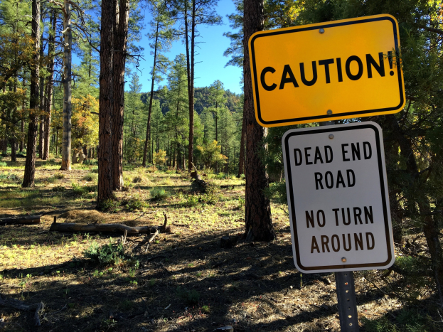Warnschild in einem Wald mit der Aufschrift "Sackgasse - Keine Wende" mit Bäumen und wolkenlosem Himmel im Hintergrund.