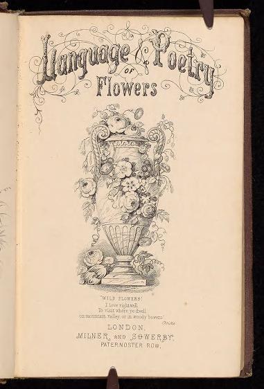 Offenes Buch mit dem Titel "Sprache und Poesie der Blumen" (1867) von Milner und Sowerby, das eine Vase-Zeichnung zeigt, die mit Blumen gefüllt ist, auf einem dunklen Hintergrund.