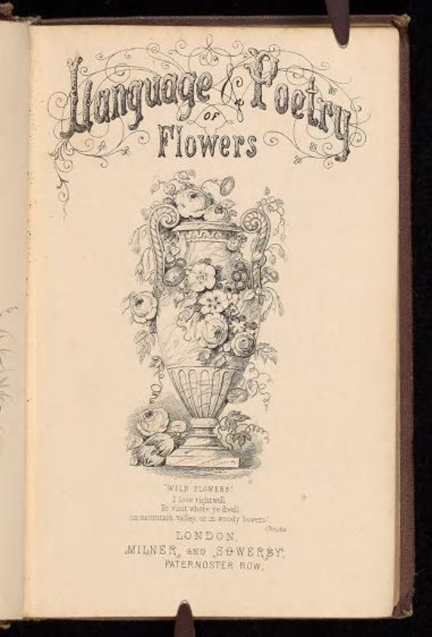 Offenes Buch mit dem Titel "Sprache und Poesie der Blumen" (1867) von Milner und Sowerby, das eine Vase-Zeichnung zeigt, die mit Blumen gefüllt ist, auf einem dunklen Hintergrund.