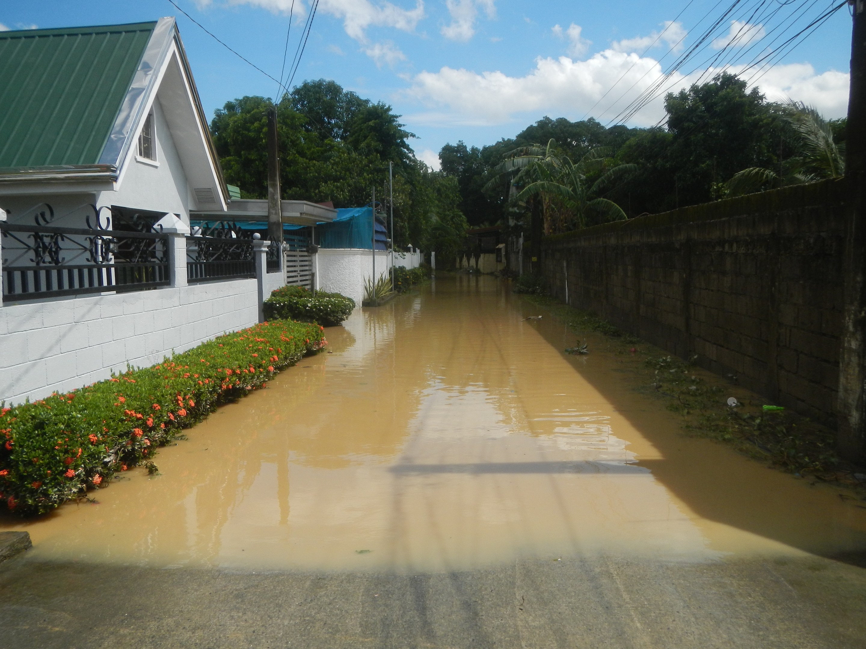 Eine überflutete Wohnstraße mit Wasser auf der Straße, begrenzt von blühenden Pflanzen auf der linken Seite und einer Wand auf der rechten Seite, mit Gebäuden, Bäumen, Strommasten und einem bewölkten Himmel im Hintergrund.