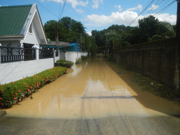 Eine überflutete Wohnstraße mit Wasser auf der Straße, begrenzt von blühenden Pflanzen auf der linken Seite und einer Wand auf der rechten Seite, mit Gebäuden, Bäumen, Strommasten und einem bewölkten Himmel im Hintergrund.