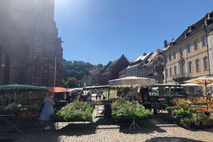 Ein lebendiger Markt im Heidelberger Altstadt mit Menschen, die schlendern, sitzen und stehen zwischen Tischen mit Blumentöpfen und Sonnenschirmen, vor Häusern, Bäumen und einem klaren blauen Himmel.