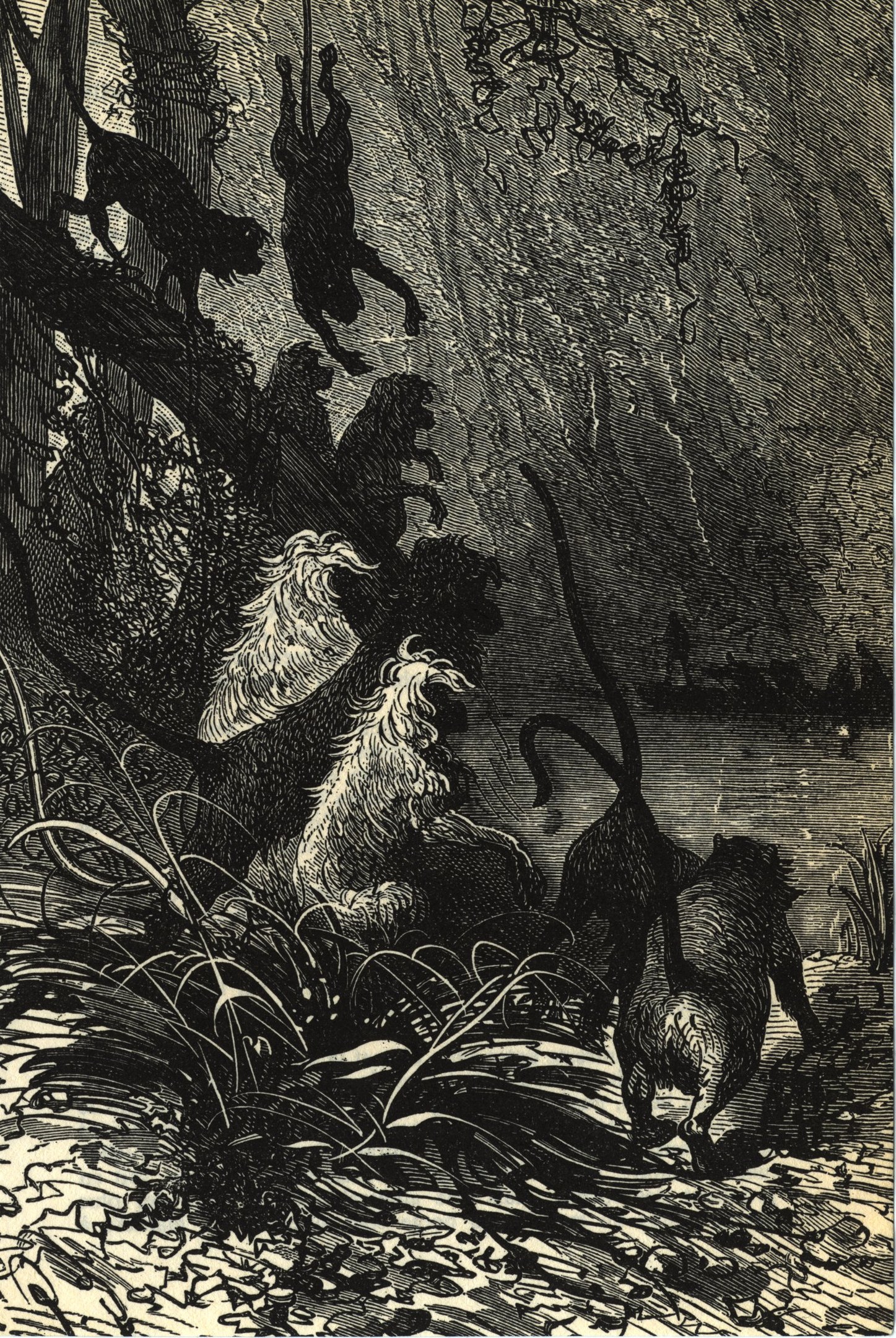 Schwarze und weiße Illustration einer Gruppe von Löwen in einer Dschungellandschaft mit üppigen Pflanzen und Bäumen, mit dem Text 'Der Löwenkönig' unten.