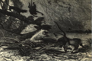 Schwarze und weiße Illustration einer Gruppe von Löwen in einer Dschungellandschaft mit üppigen Pflanzen und Bäumen, mit dem Text 'Der Löwenkönig' unten.