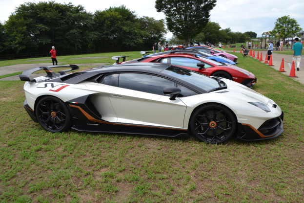 Roter Lamborghini Aventador LP700-4 Superveloce auf dem Goodwood Festival of Speed umgeben von Zuschauern, Verkehrskegeln, Gras und Bäumen unter einem bewölktem Himmel.