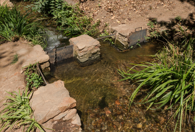 Ein kleiner Bach fließt durch einen grünen Wald, mit einem metallenen Abwasserbehälter in der Mitte, umgeben von Wasser, Steinen, Pflanzen und trockenen Blättern.