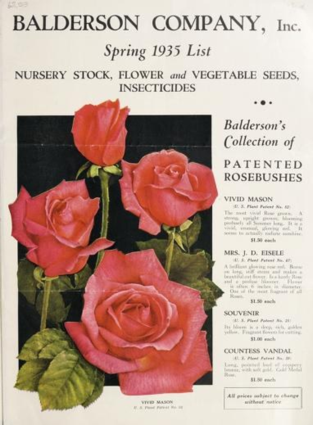 Katalog der Baldwin Company, Inc. Frühling 1935 mit pinken Rosen und Blättern, Liste von Zierpflanzen, Samen und Insektiziden.