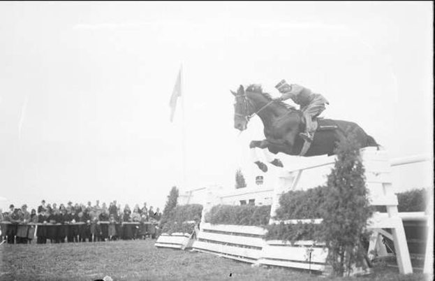Schwarz-weißes Foto eines Pferdes und Reiters, die über ein Hindernis springen, bei den 1953 Royal Ascot Horse Trials, mit Zuschauern auf der linken Seite, einer Fahne im Hintergrund und Gras und Pflanzen unten.