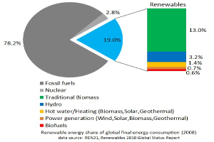 Tortendiagramm, das den globalen Verbrauch an erneuerbaren Energien im Jahr 2008 zeigt, unterteilt in Abschnitte für fossile Brennstoffe, Kernenergie, Wasserkraft, Heißwasser, Heizung, Biomasse, Solarenergie, Geothermie und Biokraftstoffe.